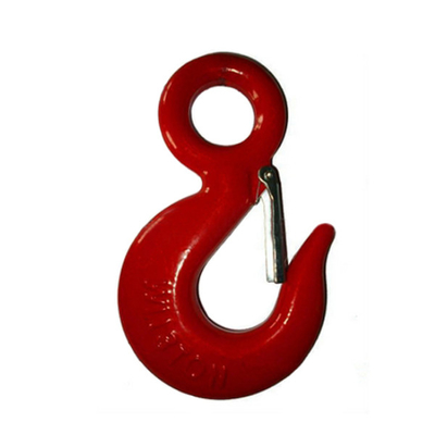 رنگ آمیزی شده 320 Clevis Latch Hook Eye Slip Hook With Latch M16.5 - M90